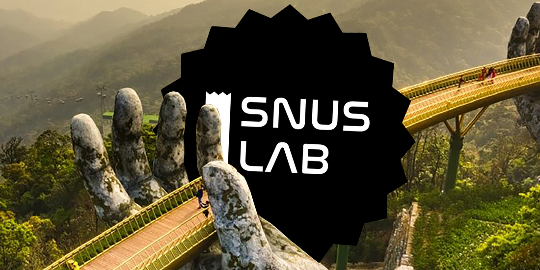 Da Nang Golden Bridge with Snus Da Nang 