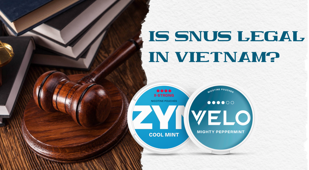 Is Snus Legal in Vietnam for Foreigners & Tourist