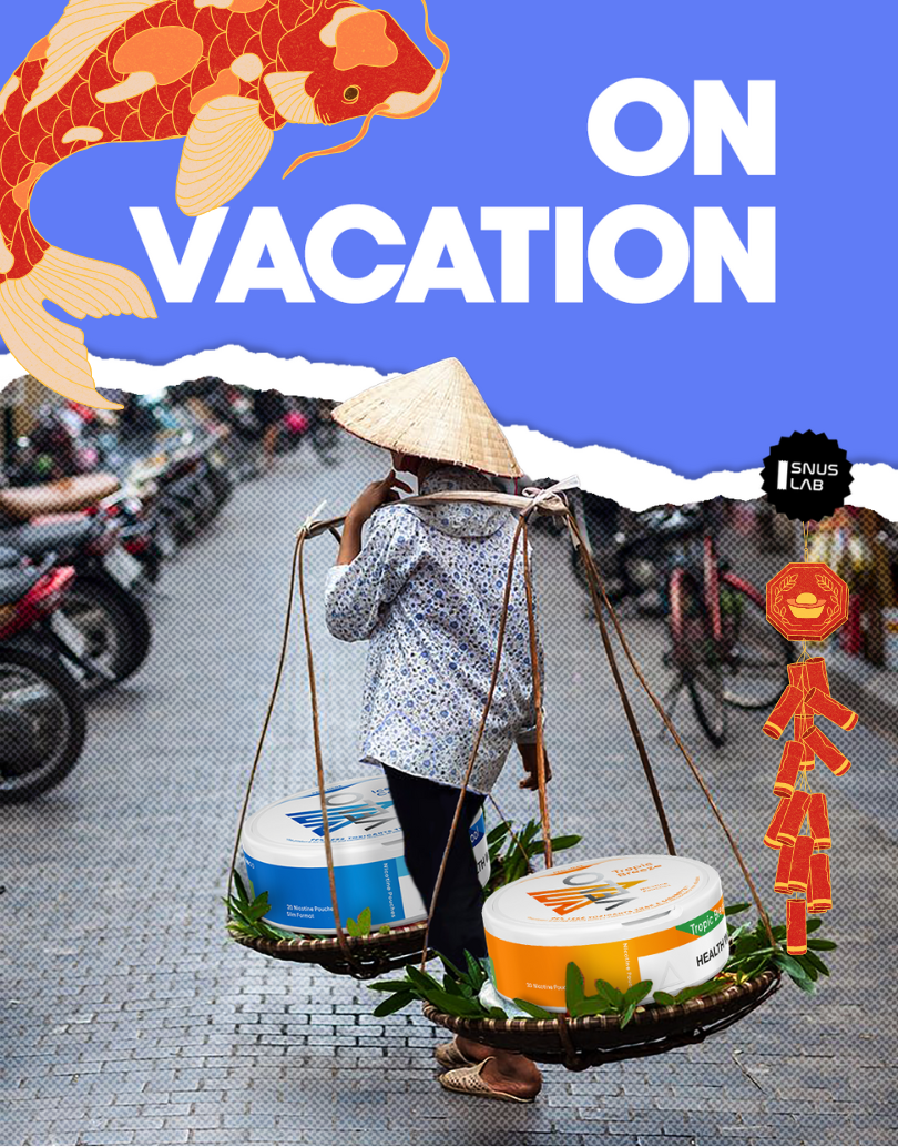 Snus Vietnam Street vendor lady Lunar New Year edition